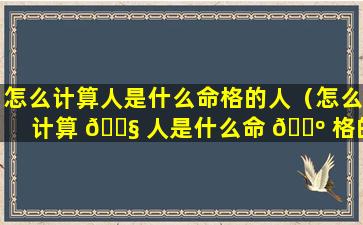 怎么计算人是什么命格的人（怎么计算 🐧 人是什么命 🌺 格的人呢）